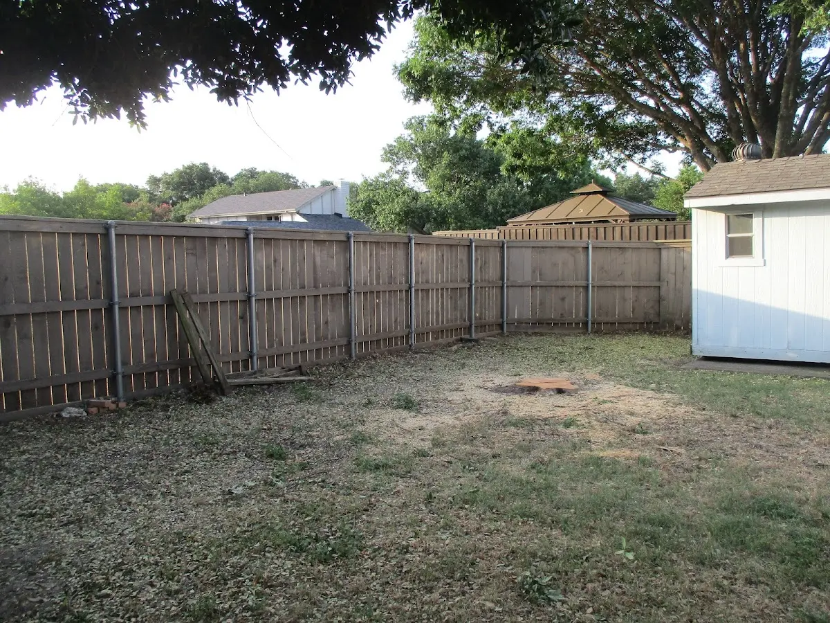 Cleared yard after professional tree removal in Darien